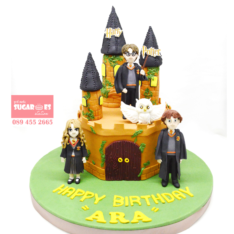 Harry potter cake 03
