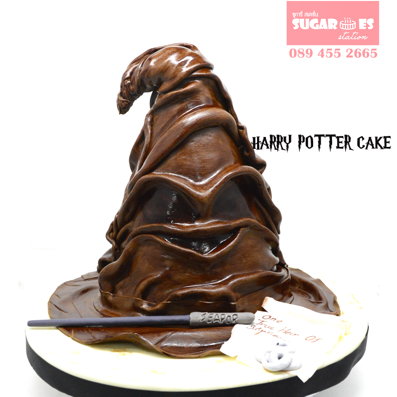Harry potter cake 01